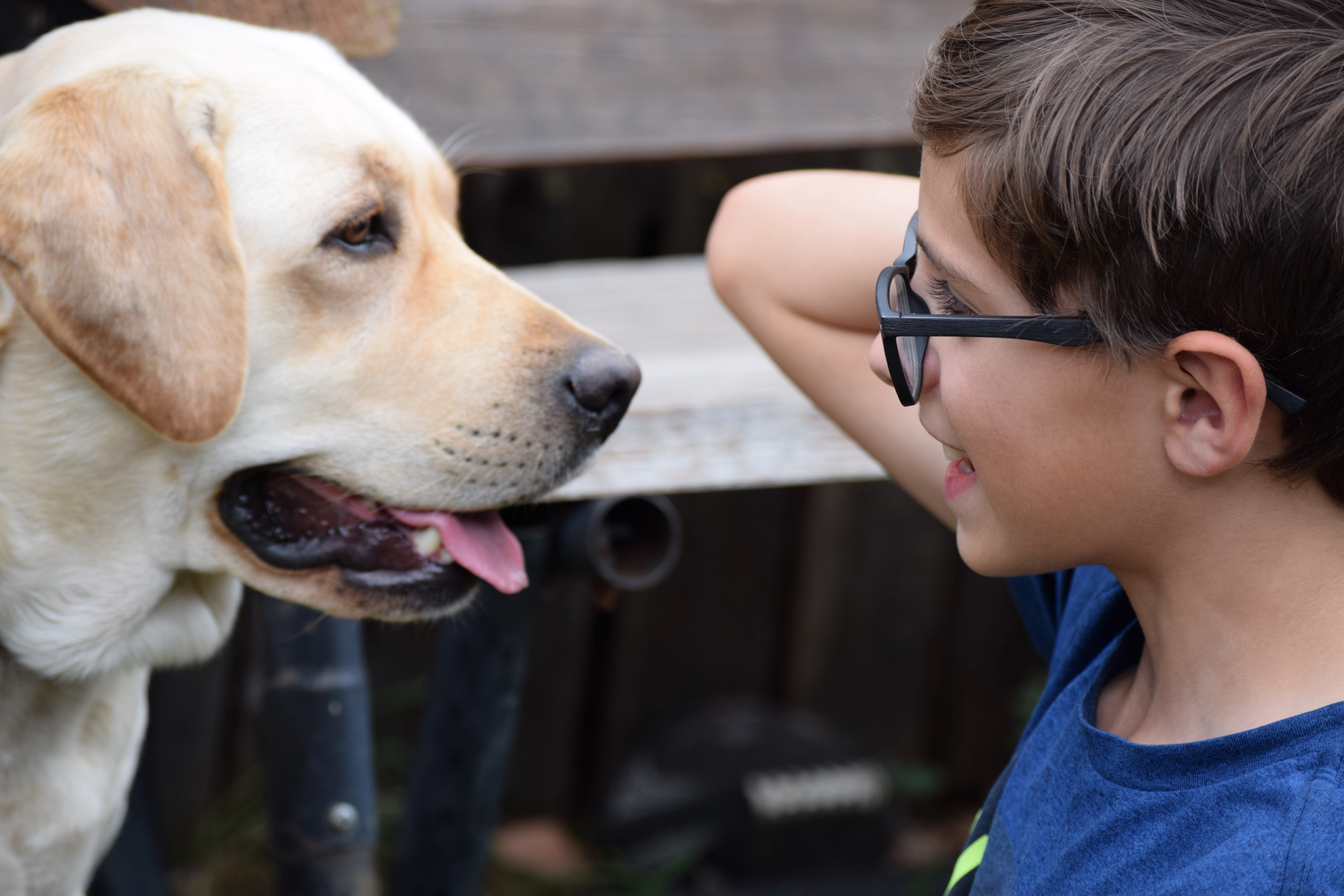 Boy and His Dog