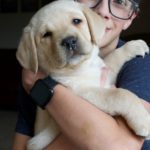 Perfect Blocky Puppy