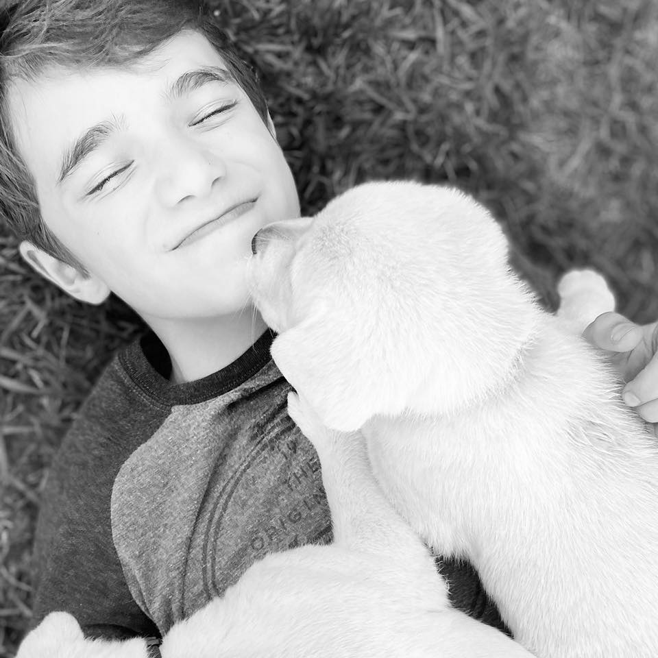 Great Labrador Breeder