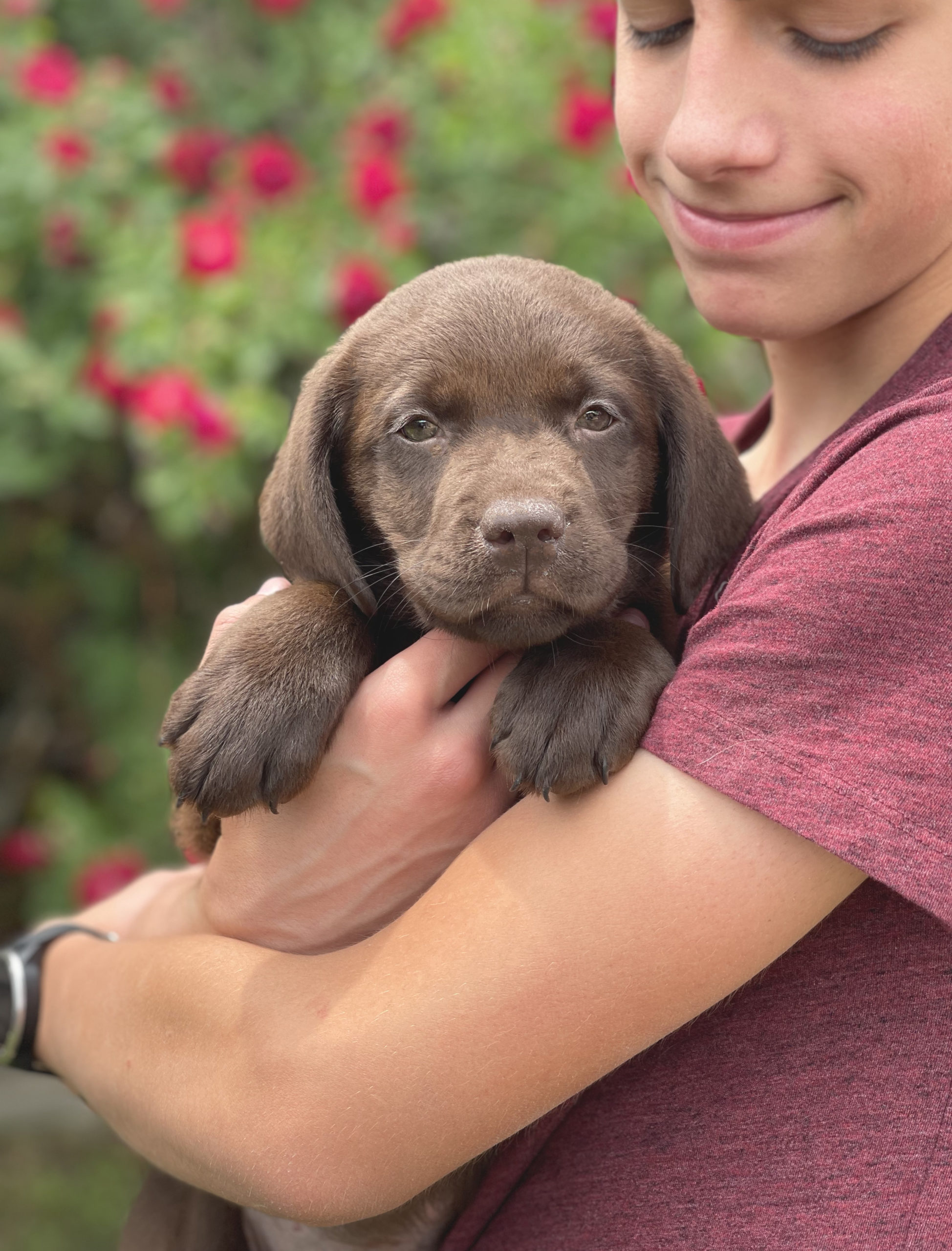 9 Week Old Puppy Love Kindred Pup