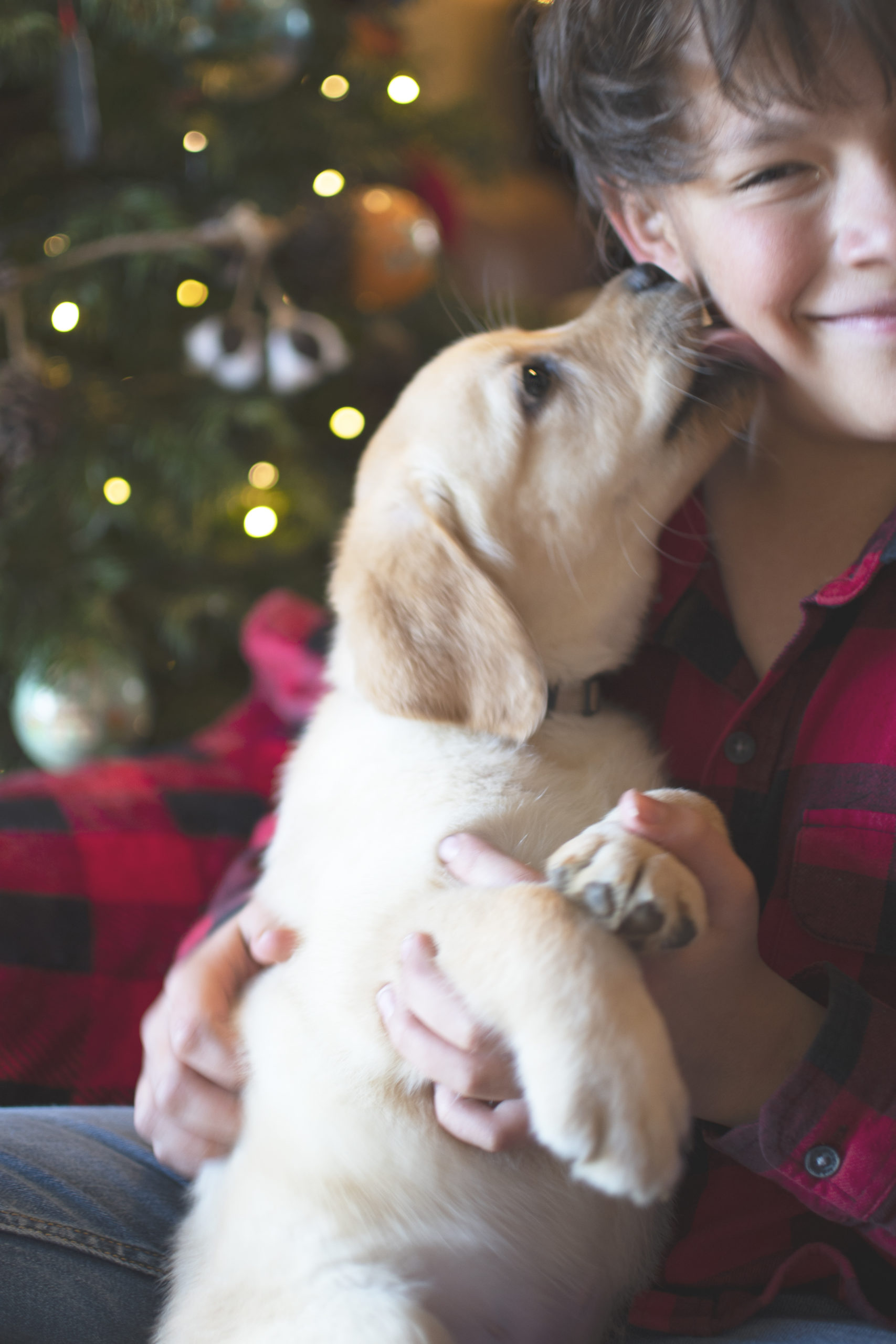 Puppy Kisses