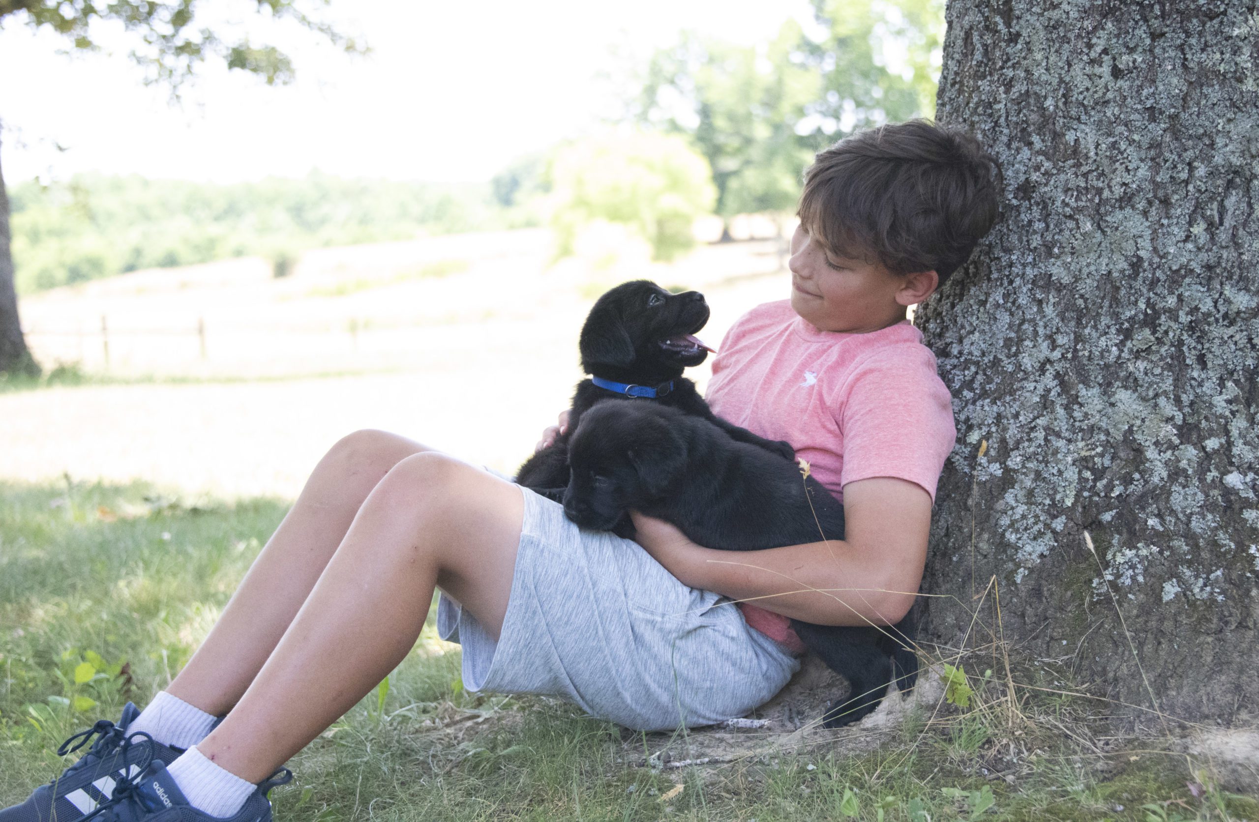 A Kid and their Puppy