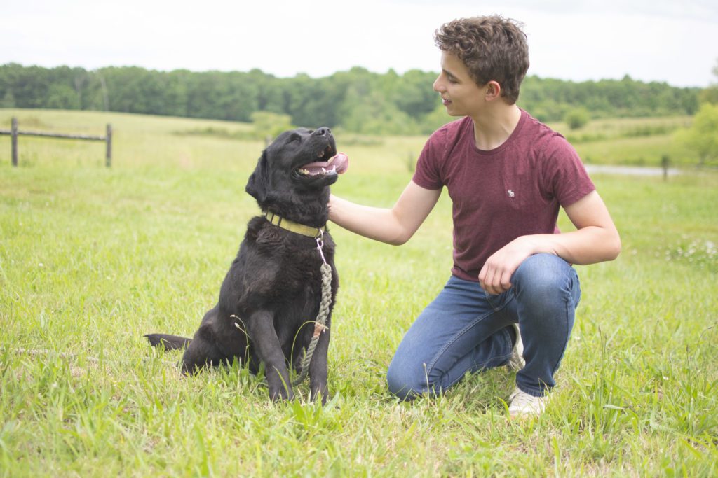 Happy Black Labrador 