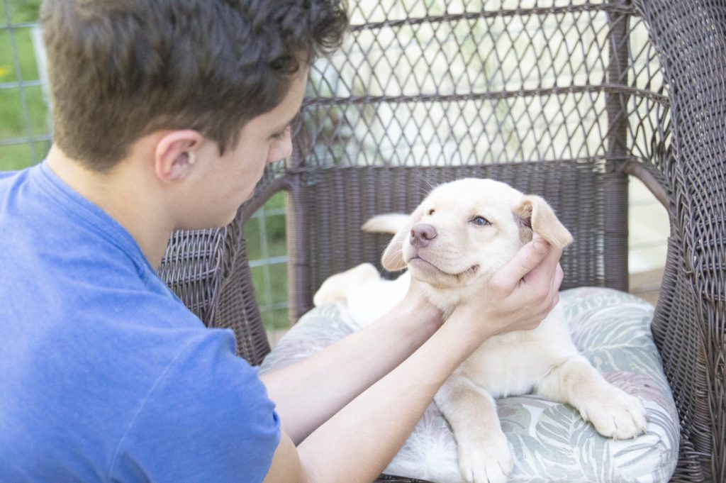 Available Polar White Puppy 