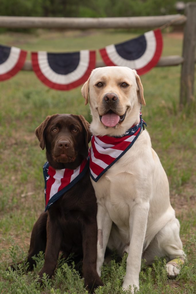 Kindred Pup Memorial Day 