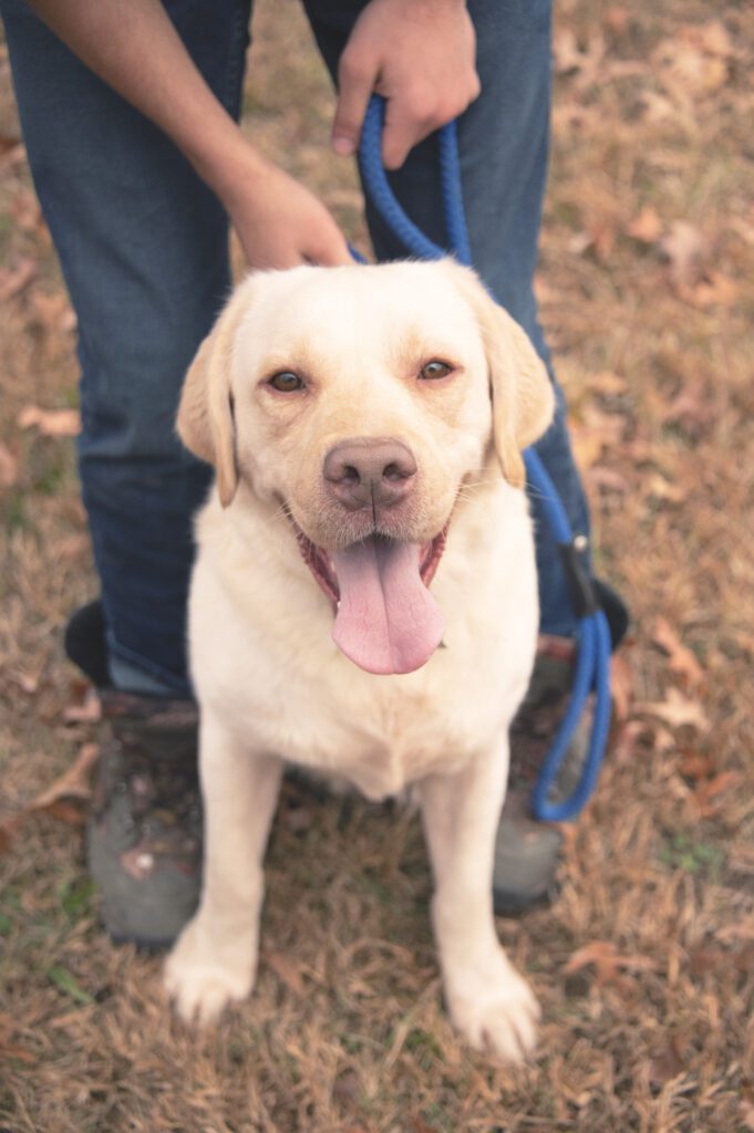 Close-up of Maverick smiling